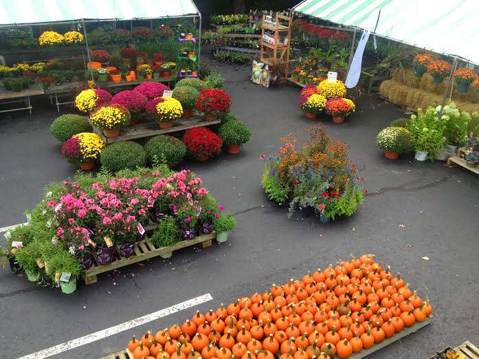 County Line Landscape Nursery | 811 Harleysville Pike, Harleysville, PA 19438, USA | Phone: (215) 723-8956