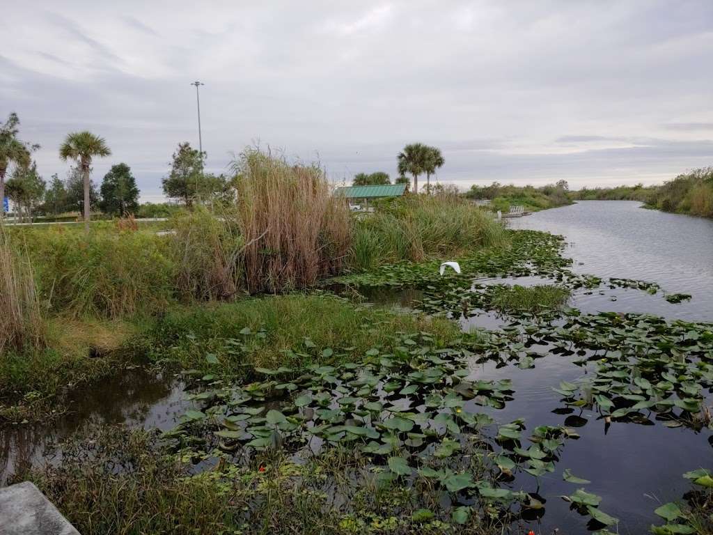 Francis S Taylor WMA | Florida, USA