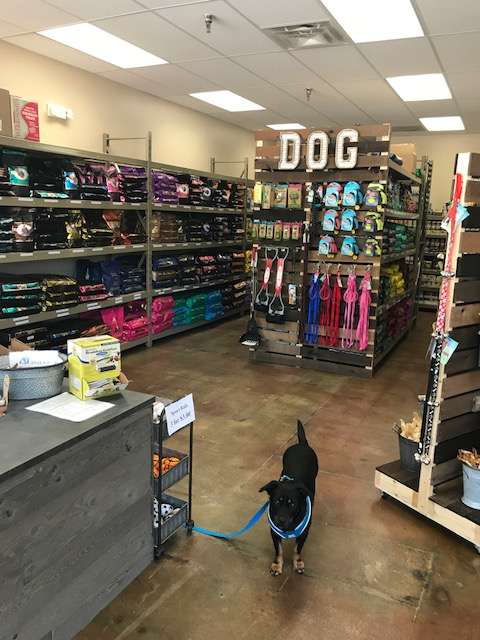 Pets Etc. | 720 Army Trail Rd, Carol Stream, IL 60188, USA | Phone: (630) 372-1919