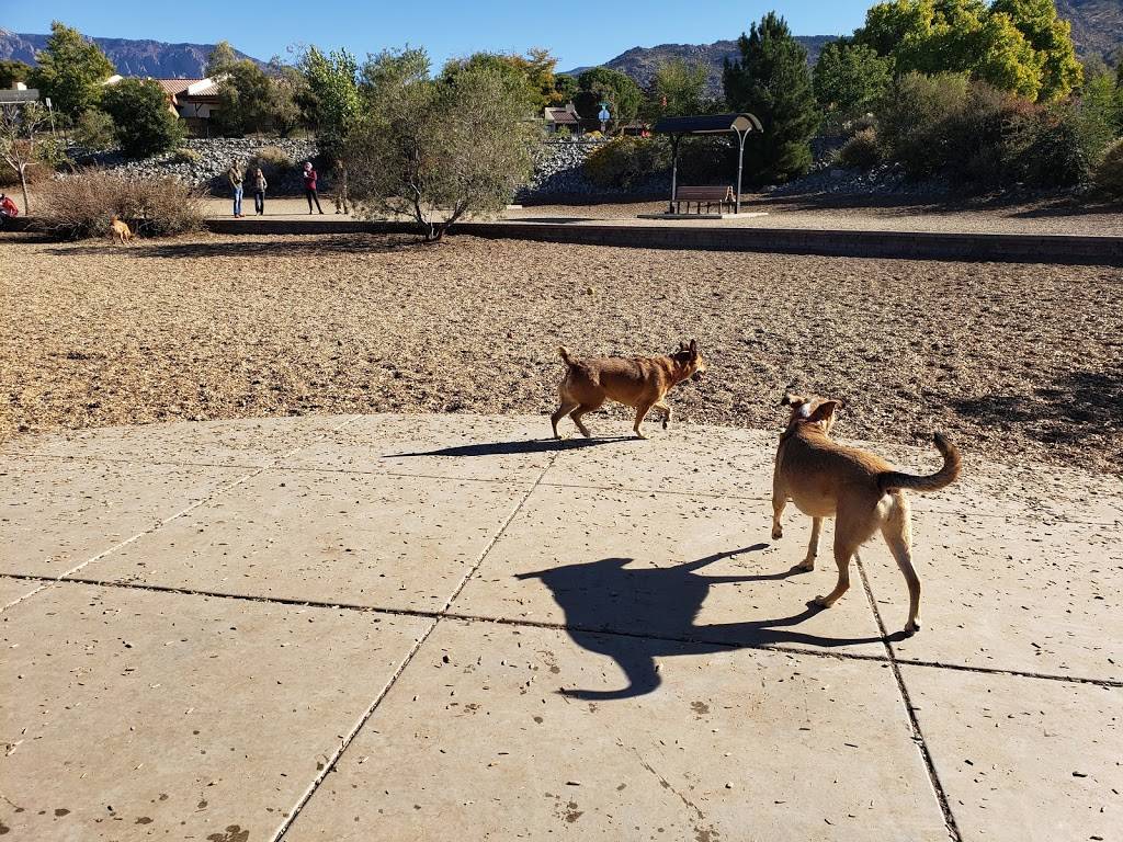 Skyline Dog Park | 12700 Montgomery Blvd NE, Albuquerque, NM 87111, USA | Phone: (505) 768-5353