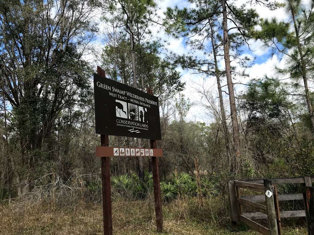 Gator Pond Backcountry Campsite | Unnamed Road, Dade City, FL 33525, USA