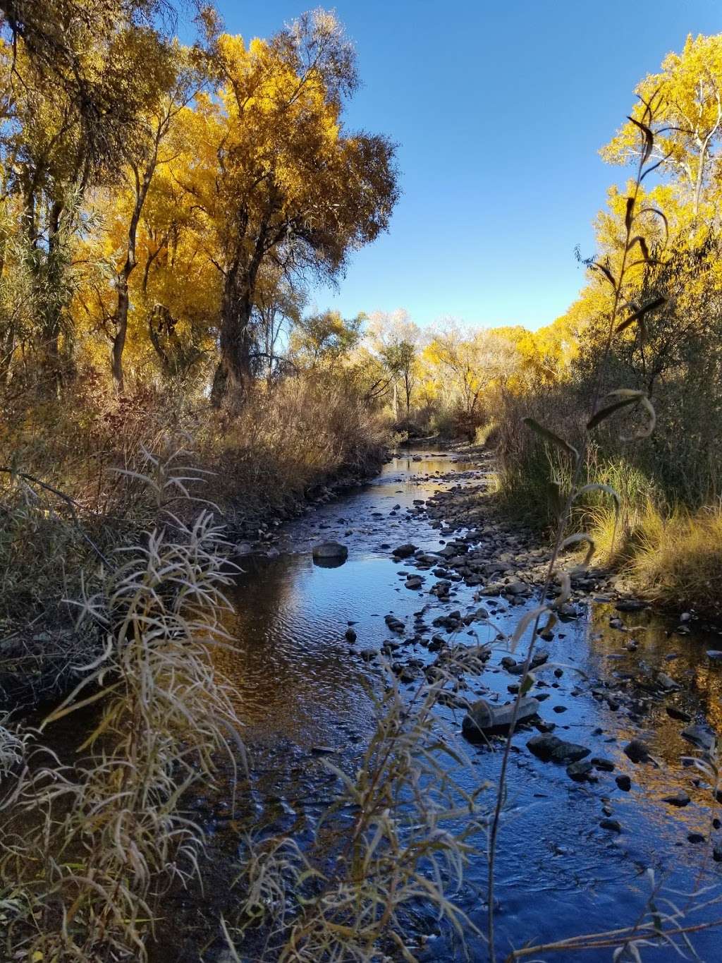 Audubon Center at Chatfield | 11280 Waterton Rd, Littleton, CO 80125, USA | Phone: (303) 973-9530