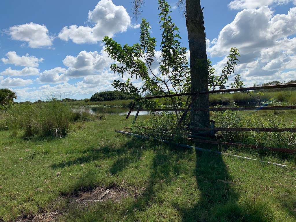 Canaveral Marshes Conservation Trailhead | 4755 Cheney Hwy, Titusville, FL 32780, USA | Phone: (386) 329-4404