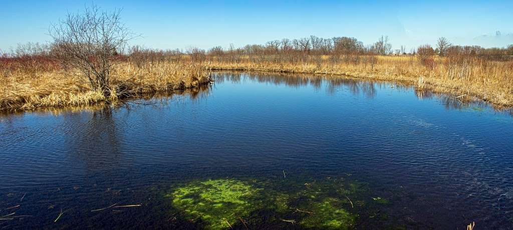 Stute Springs & Homestead Nature Trail | Co Rd Z, Eagle, WI 53119 | Phone: (262) 594-6200