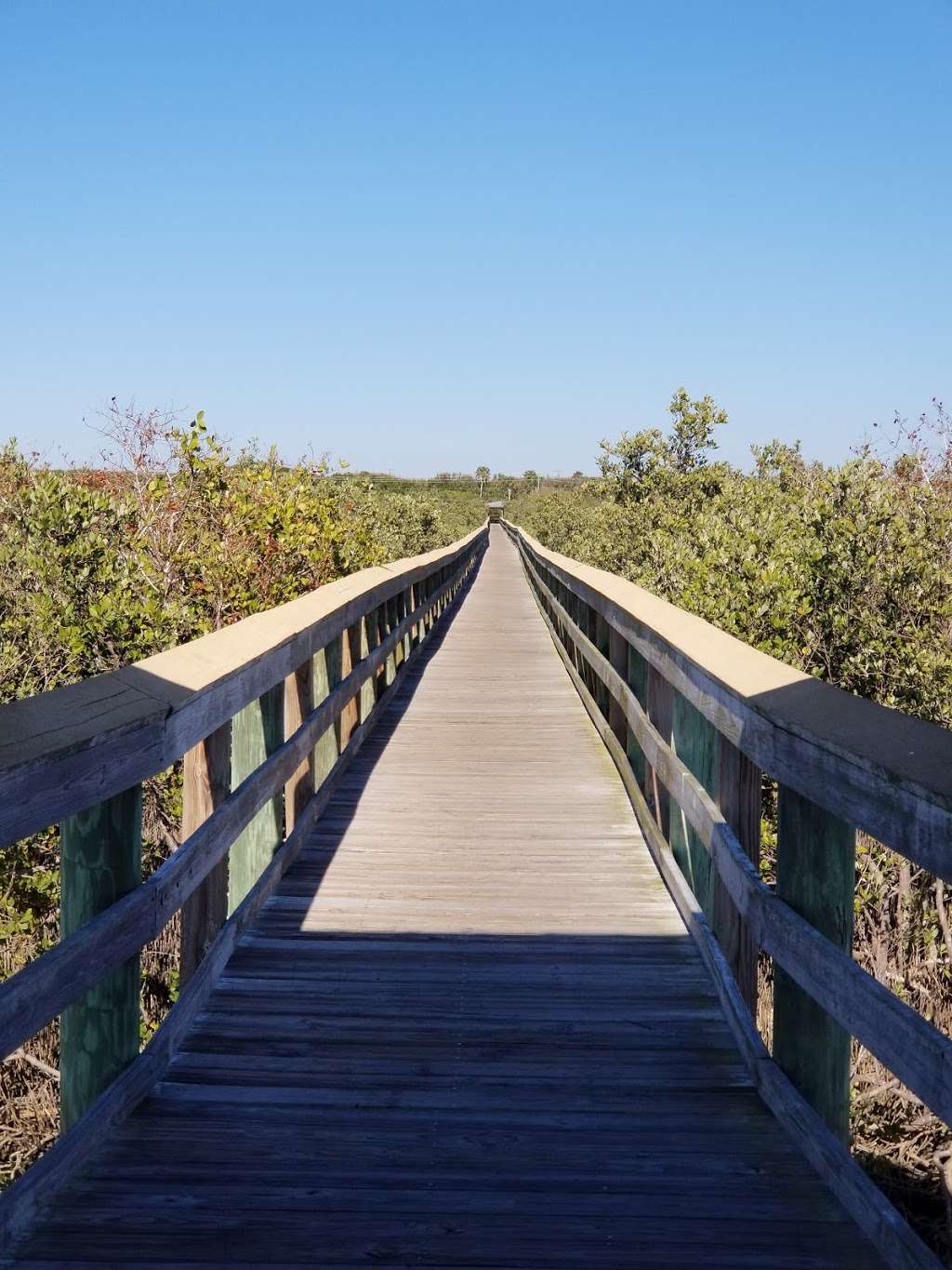 Ponce Inlet Preserve | Ponce Inlet, FL 32127, USA