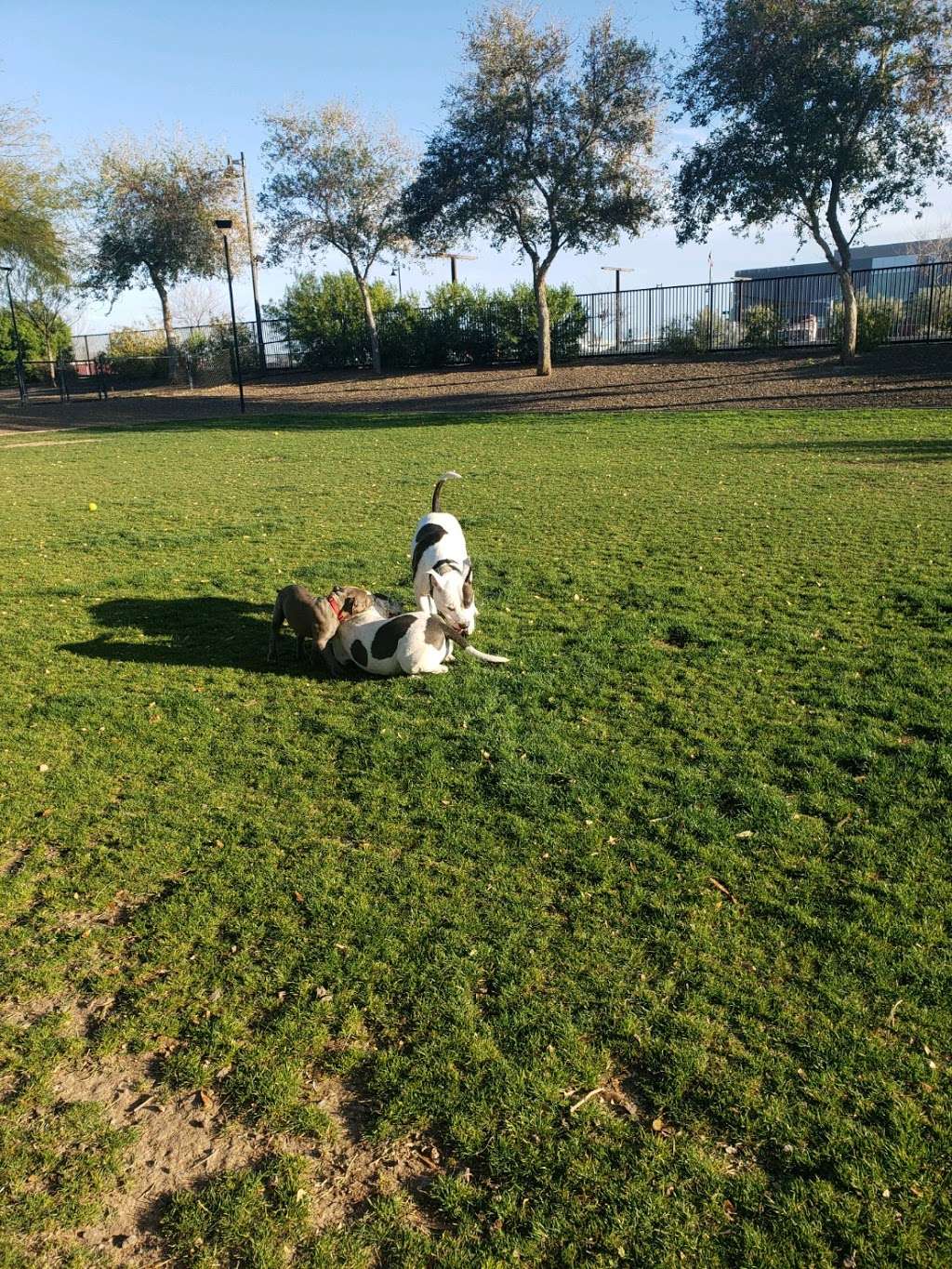 Gateway Dog Park | W Cinnabar Ave, El Mirage, AZ 85335