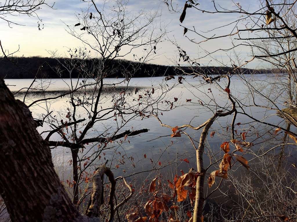 Larry Mattonen Memorial Trail | Cyclone Rd, Lees Summit, MO 64086, USA