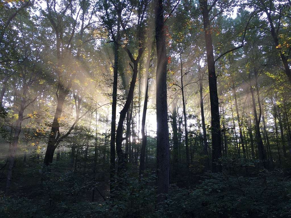 Magruder Branch Stream Valley Park | Gaithersburg, MD 20882, USA | Phone: (301) 528-3451