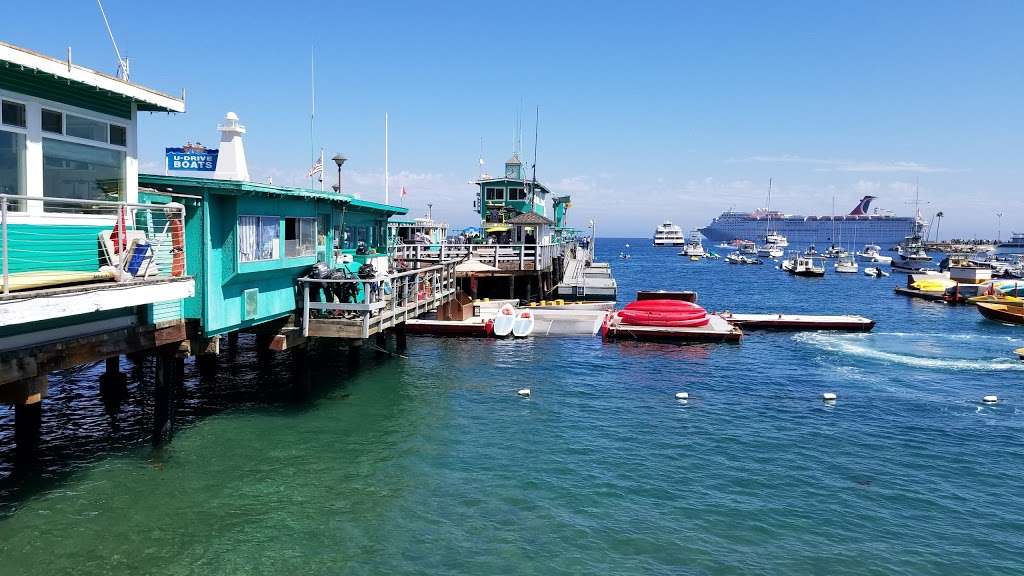 Catalina Express | 120 Pebbly Beach Rd, Avalon, CA 90704