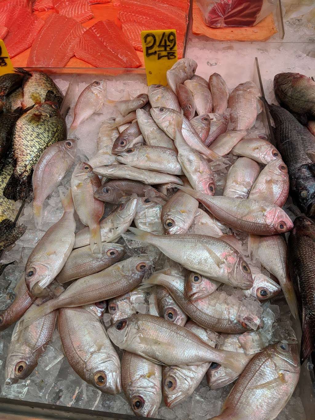 Fong & Zhou Supermarket Inc | 8514 18th Ave, Brooklyn, NY 11214, USA | Phone: (718) 872-7022 Fong & Zhou Supermarket Inc | 8514 18th Ave, Brooklyn, NY 11214, USA | Phone: (718) 872-7022