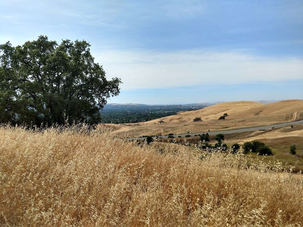 Lime Ridge Open Space | Ygnacio Valley Rd, Walnut Creek, CA 94598, USA | Phone: (925) 943-5800