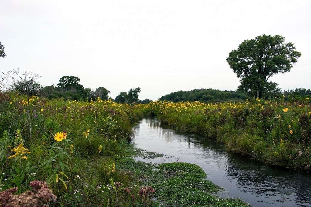 Bluff Creek | Co Rd P, Whitewater, WI 53190, USA