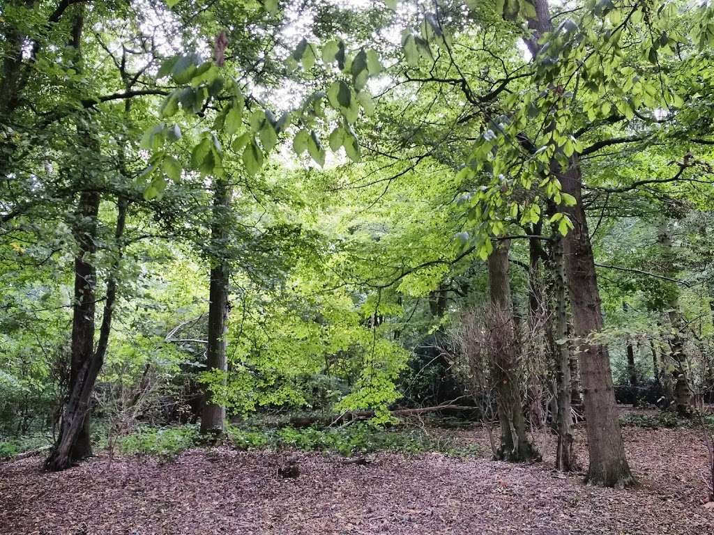 Garnetts Woods Parking | Unnamed Road, Dunmow CM6 1NG, UK