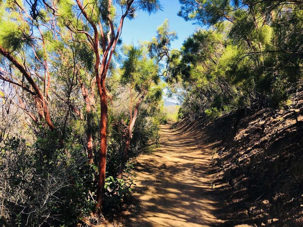 Backbone Trail | Yerba Buena Road, Malibu, CA 90265, USA