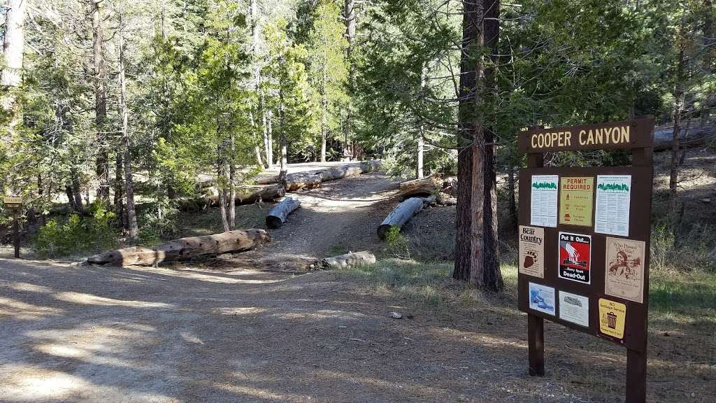 Cooper Canyon Trail Camp | Pearblossom, CA 93553, USA | Phone: (626) 574-1613