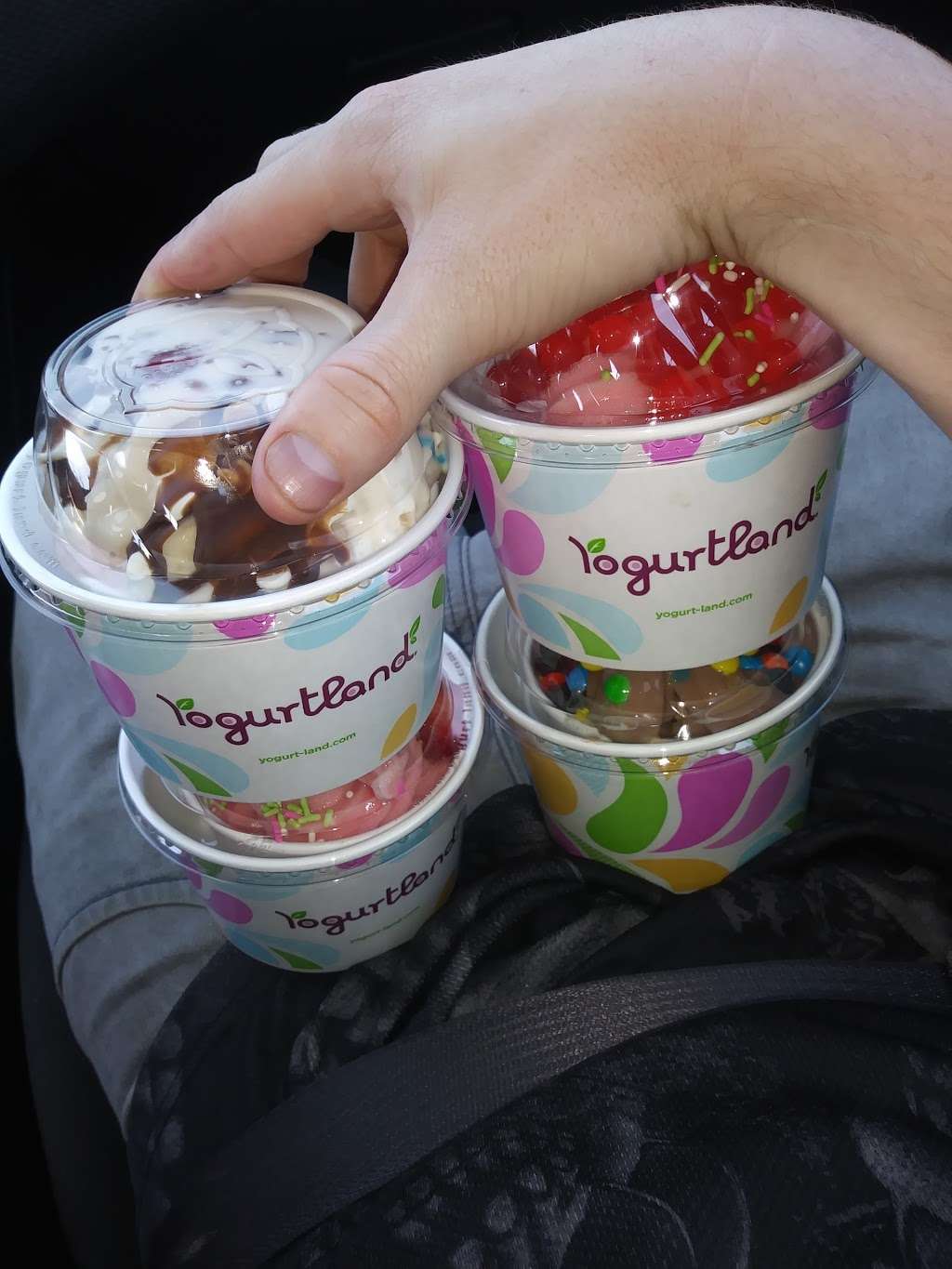 Yogurtland | 13325 Main St, Hesperia, CA 92344 | Phone: (760) 995-3122