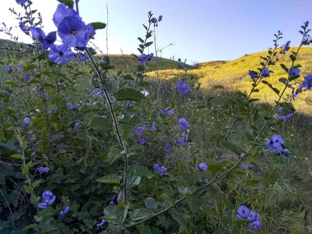 Arroyo Verde Hiking Trails | Arroyo Verde Park Trail, Ventura, CA 93003