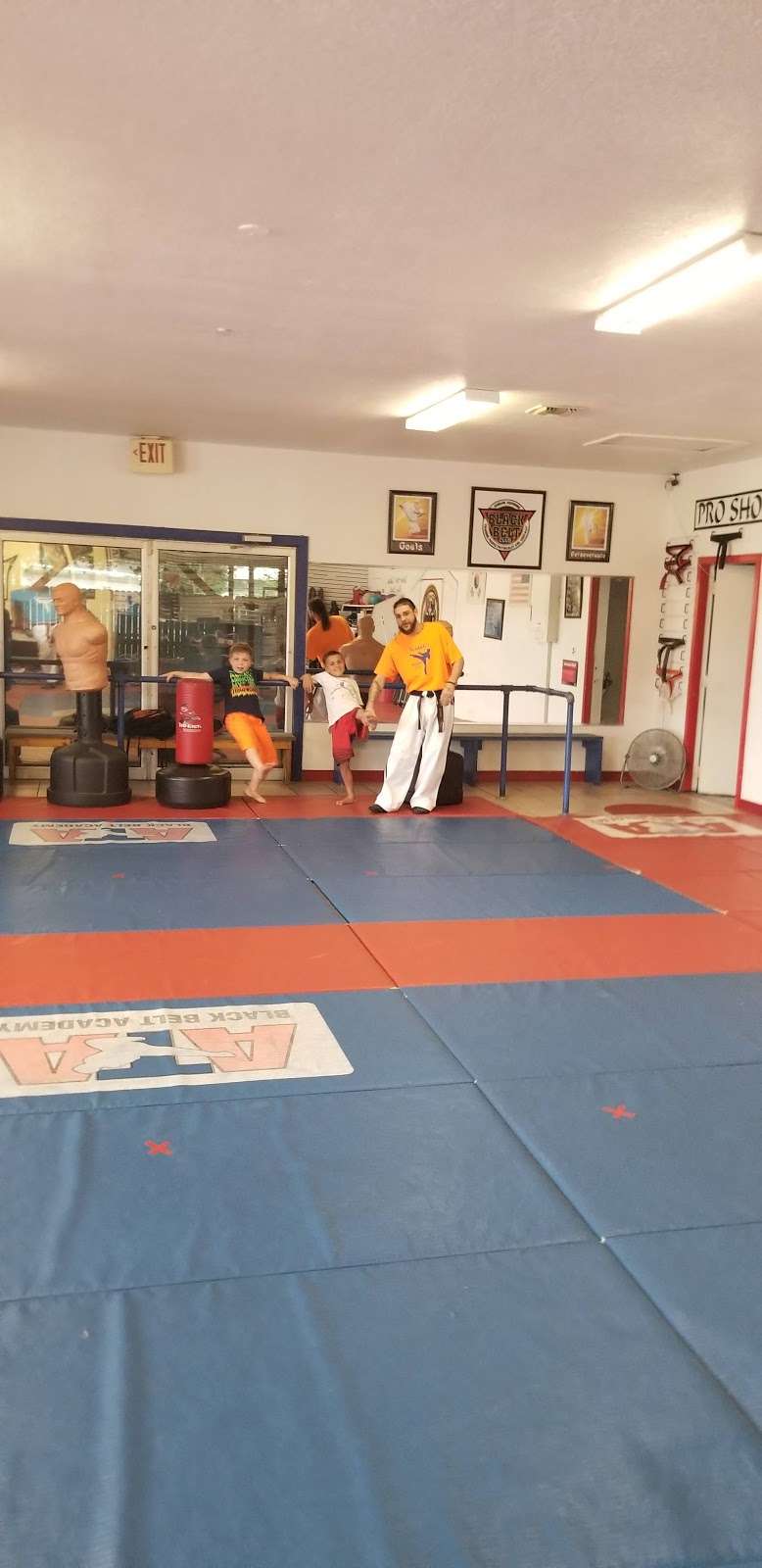 Sciontis Karate For Kids Inc | 10340 SE 43rd Ct, Belleview, FL 34420 | Phone: (352) 347-3722