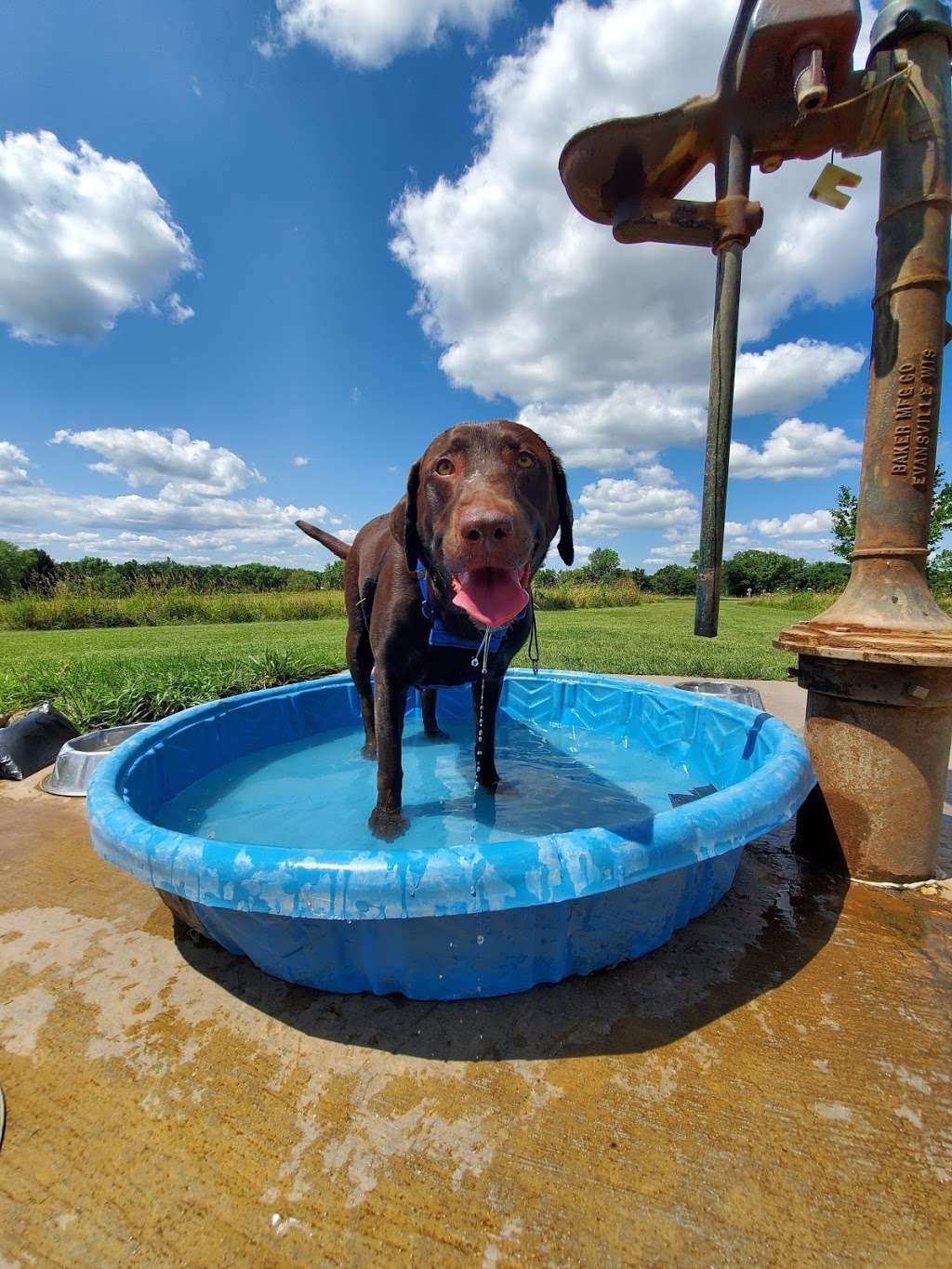 Terri Tinsley Dog Exercise Area | W5098 Canine Dr, Johnson Creek, WI 53038, USA | Phone: (920) 674-7260