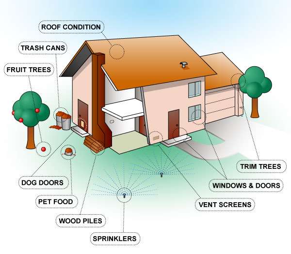 Advanced Pest Related Services Inc | 1331 Green Forest Ct # 20, Winter Garden, FL 34787 | Phone: (407) 905-6218