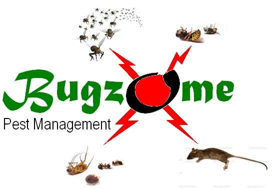 Bugzome Pest Management | 9395 Indian Camp Rd, Columbia, MD 21045, USA | Phone: (240) 492-9283
