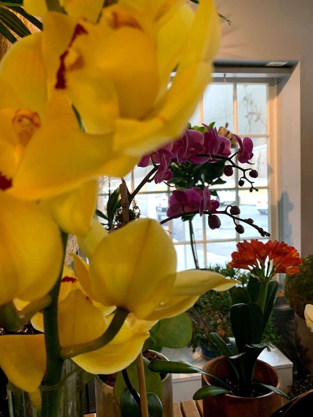 Colonial Village Flowers | 1497 Weaver St, Scarsdale, NY 10583, USA | Phone: (914) 723-2888