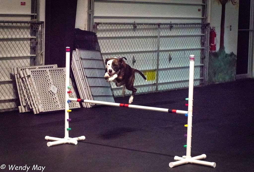 Pupn Iron Canine Fitness & Learning Center | 21 Perchwood Dr, Fredericksburg, VA 22405, USA | Phone: (540) 659-7614