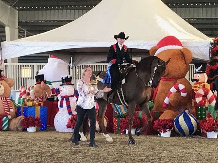 Rancho Del Mar Riding Academy | Deer Springs Equestrian, 2333 N Twin Oaks Valley Rd, San Marcos, CA 92069, USA | Phone: (760) 715-5426