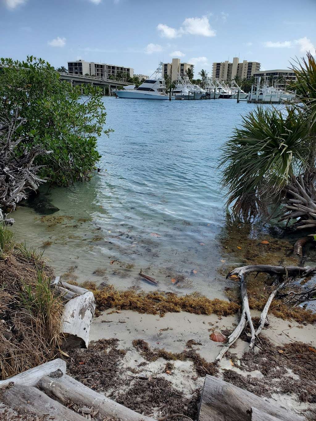 Jupiter Inlet Lighthouse Outstanding Natural Area | 600 County Hwy 707, Tequesta, FL 33469, USA | Phone: (561) 295-5953