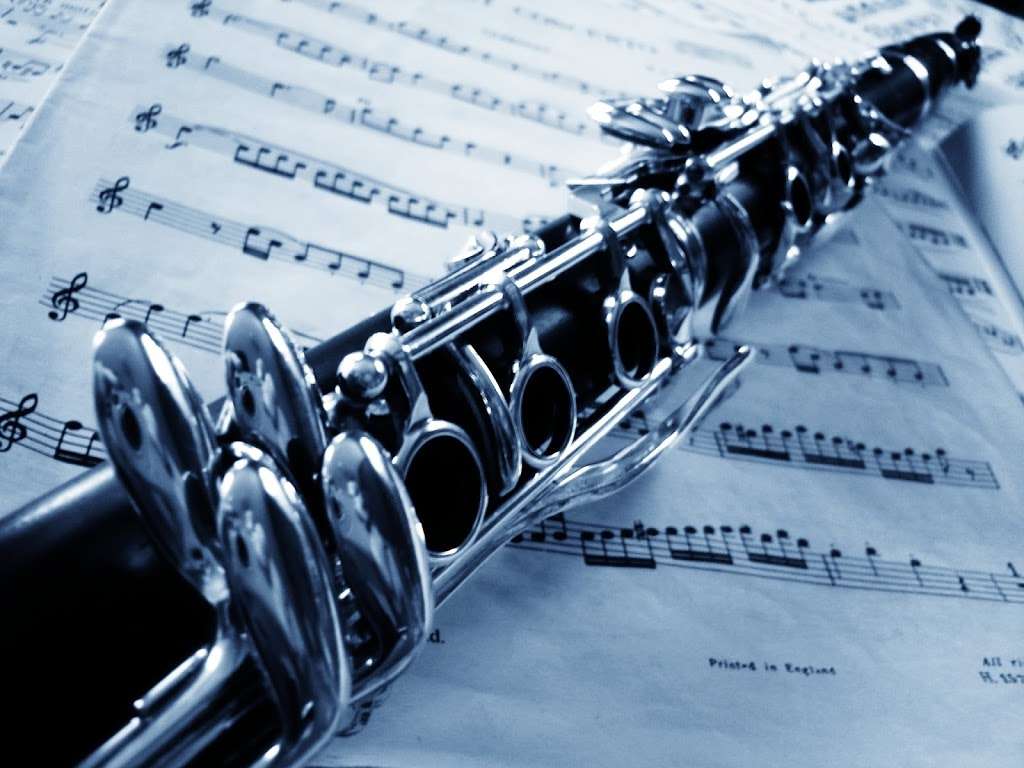 South London Clarinet | 97 Mayow Rd, London SE26 4AA, UK | Phone: 07403 926226