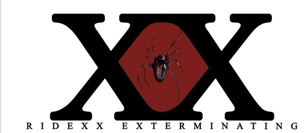 Ridexx Extermination | 234 Chestnut St, Brooklyn, NY 11208, USA | Phone: (347) 860-4580