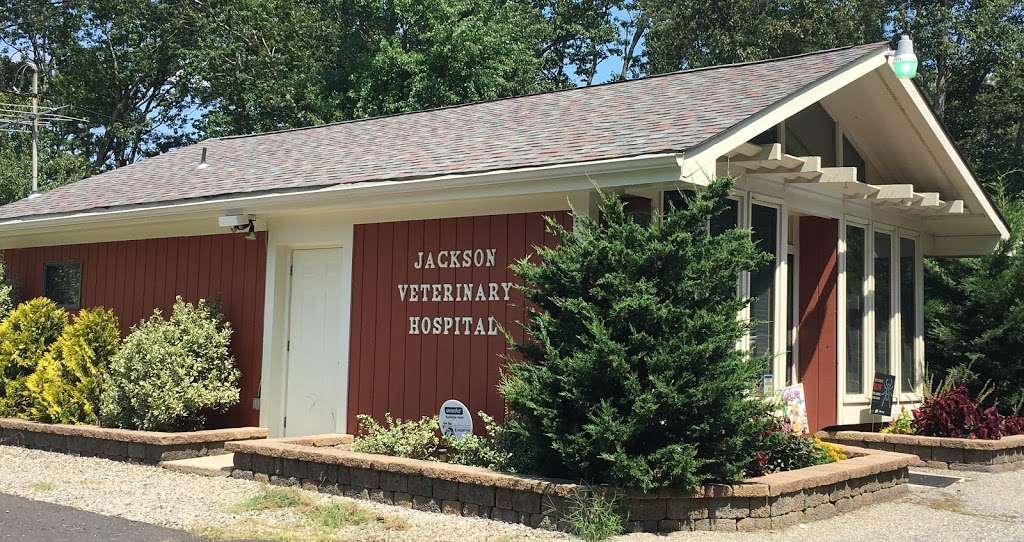 Jackson Veterinary Hospital | 33 S New Prospect Rd, Jackson, NJ 08527, USA | Phone: (732) 363-0809