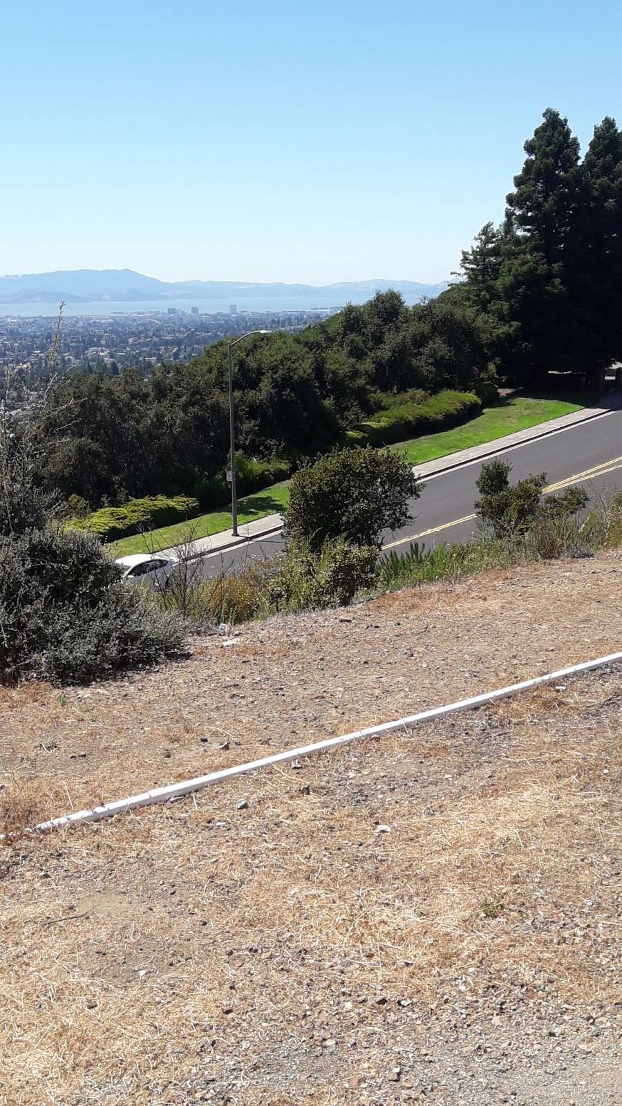Leona Canyon Trail Head | Campus Dr, Oakland, CA 94619, USA