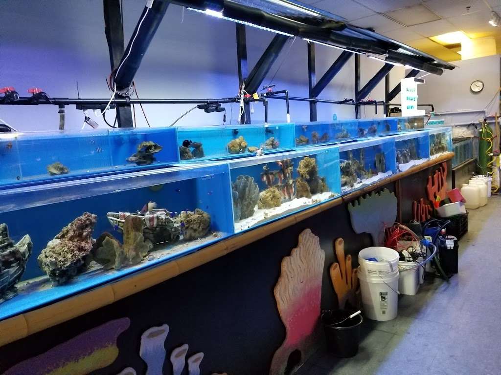 Trekkers Tropical Fish | 22547 Hawthorne Blvd, Torrance, CA 90505, USA | Phone: (424) 888-9858