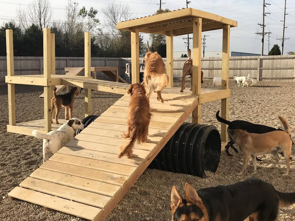 Leader of the Pack Doggie Daycare | 325 Linnerud Dr, Sun Prairie, WI 53590, USA | Phone: (608) 571-7225