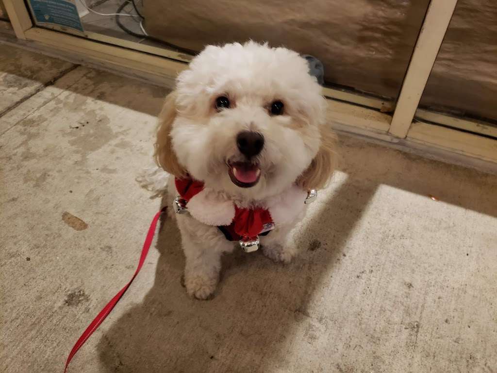 Vanderhoof Veterinary Hospital | 2235 N Lake Ave, Altadena, CA 91001, USA | Phone: (626) 798-5901