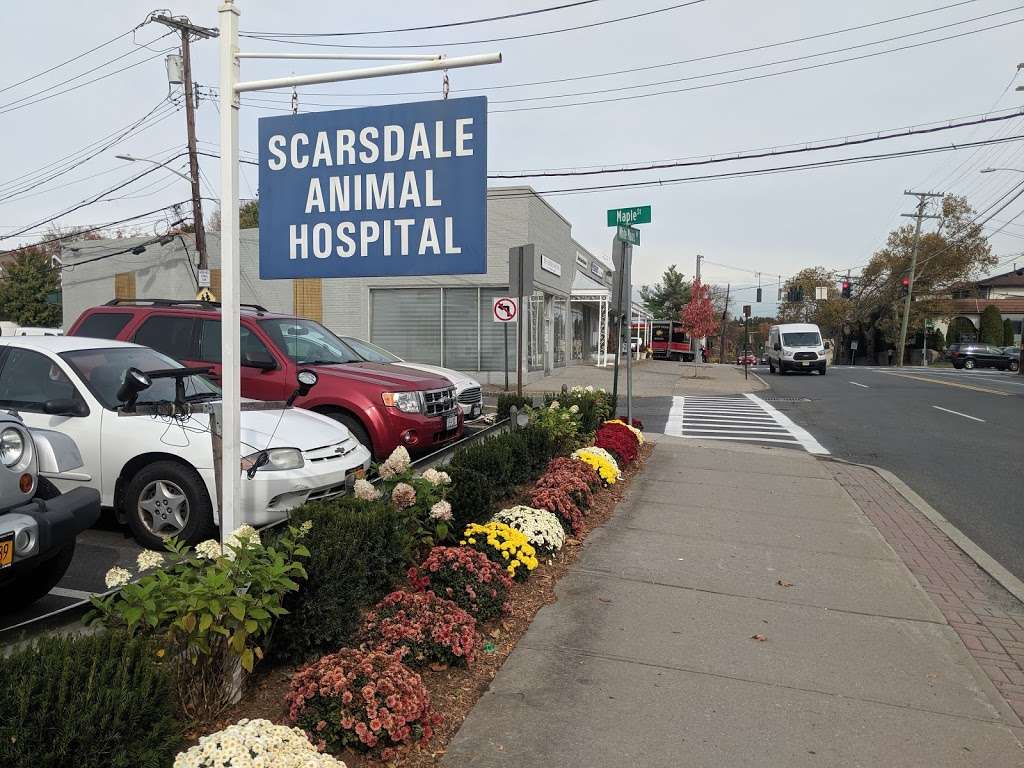 Scarsdale Animal Hospital | 741 White Plains Rd, Scarsdale, NY 10583, USA | Phone: (914) 723-0290