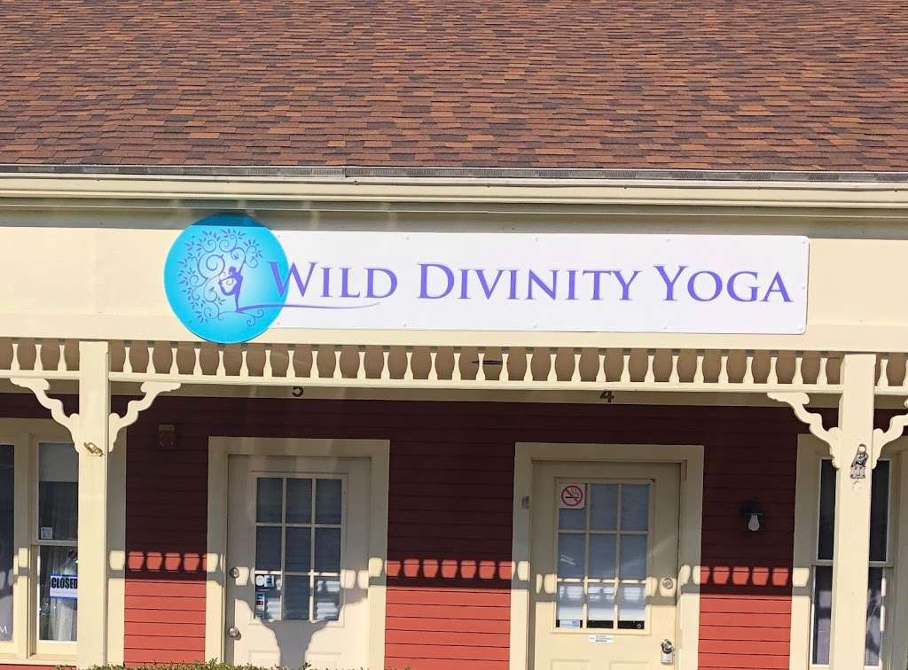 Wild Divinity Yoga | 145 S Main St, Carver, MA 02330, USA | Phone: (508) 639-8999