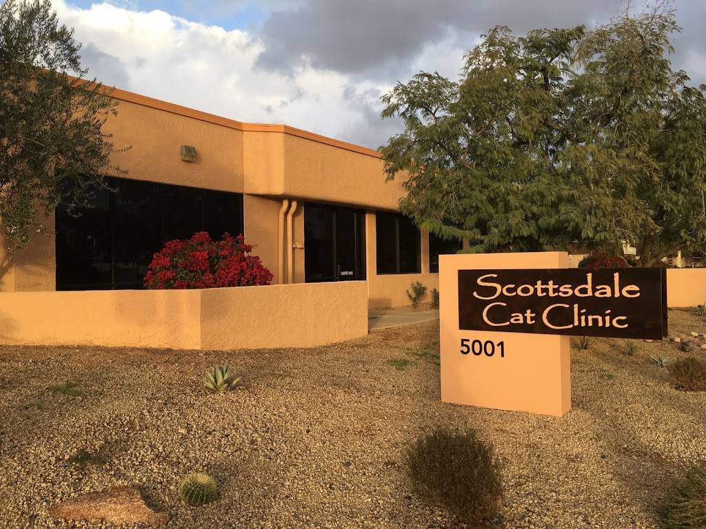 Scottsdale Cat Clinic | 5001 N Granite Reef Rd #105, Scottsdale, AZ 85250 | Phone: (480) 970-1175