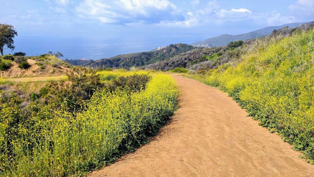 Los Liones Trail | Pacific Palisades, CA 90272, USA