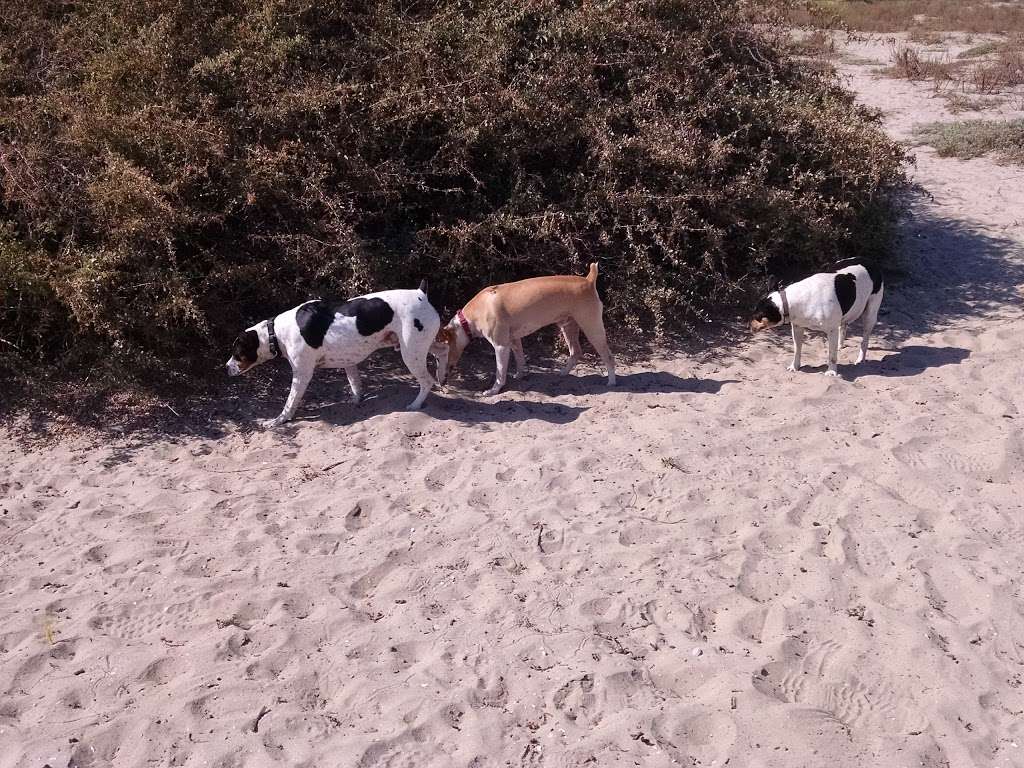 Hunting ,Training Area , North End | 493 Fiesta Island Rd, San Diego, CA 92109, USA