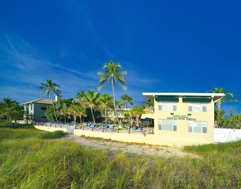 Tropic Seas Beach Front Resort Motel | 4616 El Mar Dr, Lauderdale-By-The-Sea, FL 33308, USA | Phone: (954) 491-3733