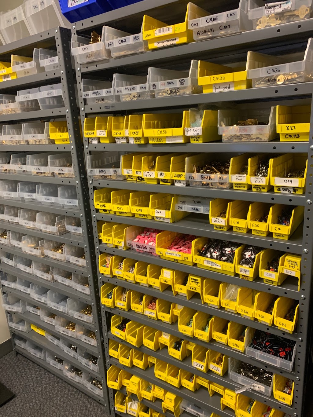 Dr. Kara K. Criswell, MD | 2111 S 23rd Ave, Broadview, IL 60155, USA | Phone: (708) 204-0109