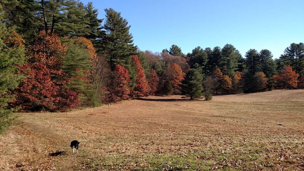 Ridge Hill Reservation | Needham, MA 02492, USA