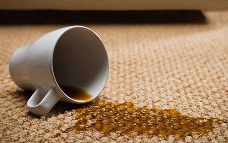 Affordable Clean Carpet Service | 669 McDonald Ln, Escondido, CA 92025, USA | Phone: (619) 630-8395