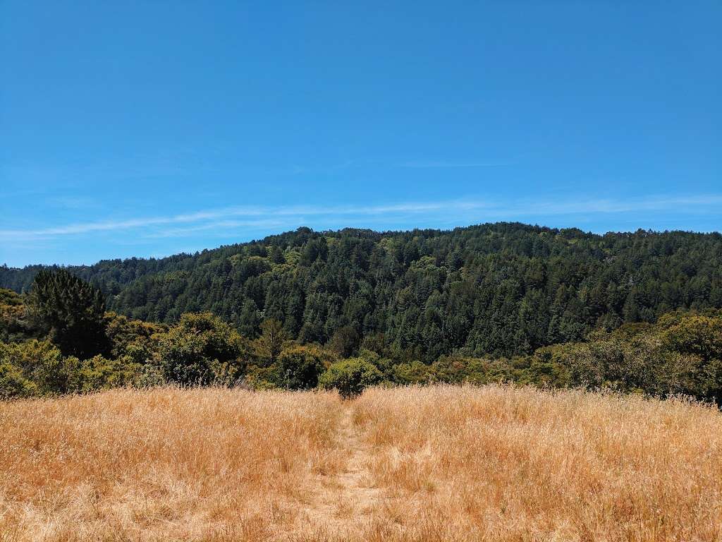 Redwood Regional Park | 7867 Redwood Rd, Oakland, CA 94619, USA | Phone: (888) 327-2757