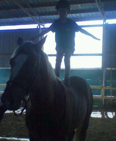 ALBE FARM, Horse Riding LESSONS, Stalls for Boarding since 1993 | 9611 Gaines Rd, Sugar Land, TX 77498, USA | Phone: (281) 561-0607