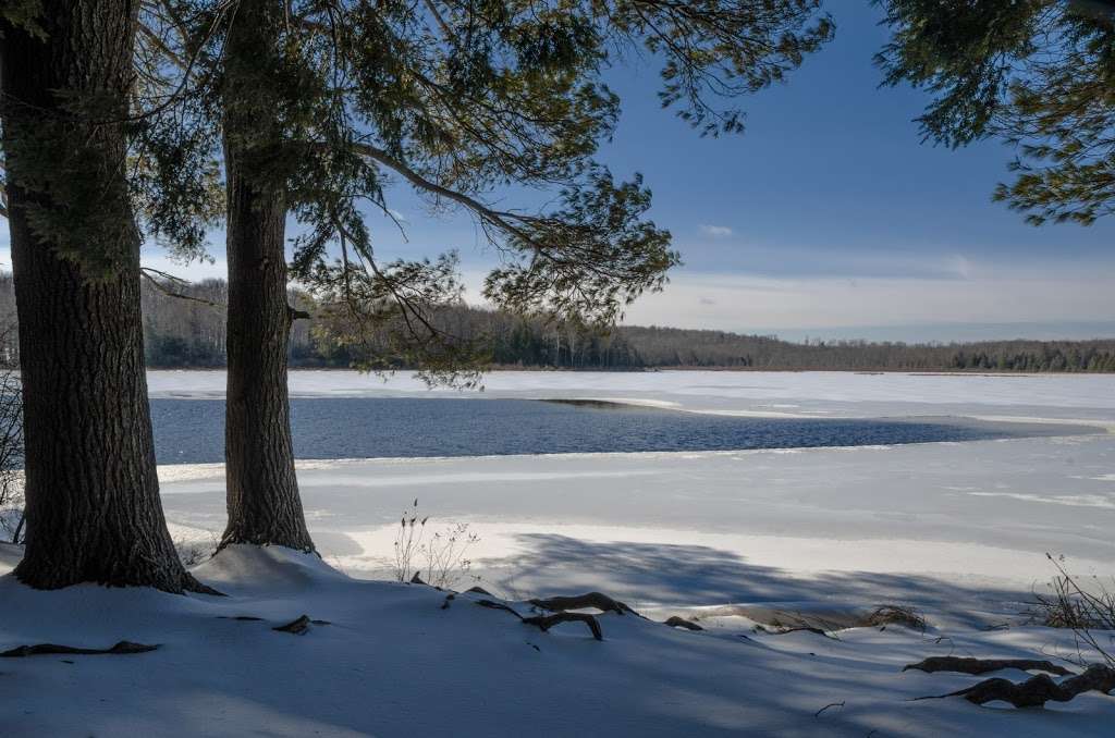 Promised land state park Conservation Island | Conservation Island, Greene Township, PA 18426, Greentown, PA 18426