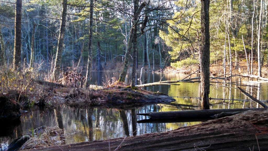 Great Brook Farm State Park | 165 North Rd, Carlisle, MA 01741 | Phone: (978) 369-6312