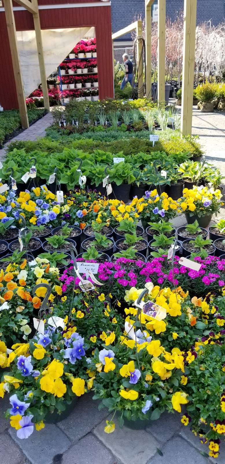 DErcole Farms & Garden Center | 489 Tappan Rd, Northvale, NJ 07647, USA | Phone: (201) 768-0495